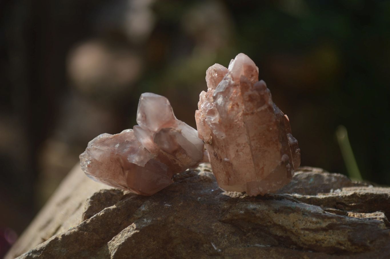 Natural Red Hematoid Quartz Single Small Clusters x 63 From Karoi, Zimbabwe - Toprock Gemstones and Minerals 