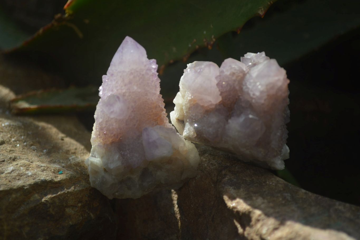 Natural Amethyst and Ametrine Spirit Quartz Clusters x 12 From Boekenhouthoek, South Africa - Toprock Gemstones and Minerals 