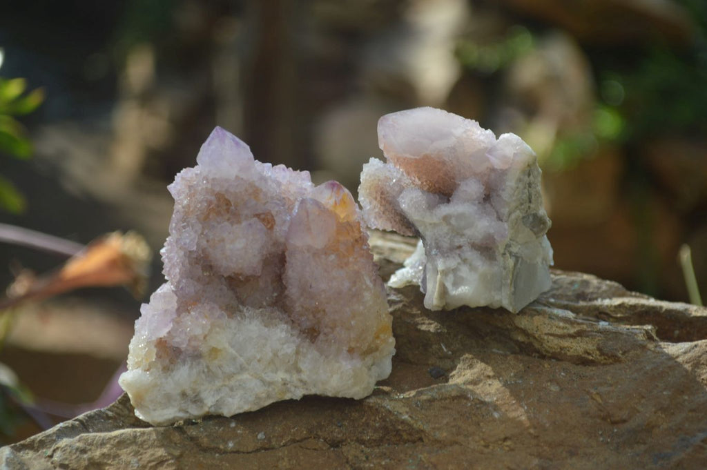 Natural Amethyst and Ametrine Spirit Quartz Clusters x 12 From Boekenhouthoek, South Africa - Toprock Gemstones and Minerals 