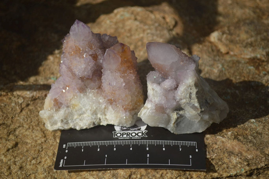 Natural Amethyst and Ametrine Spirit Quartz Clusters x 12 From Boekenhouthoek, South Africa - Toprock Gemstones and Minerals 