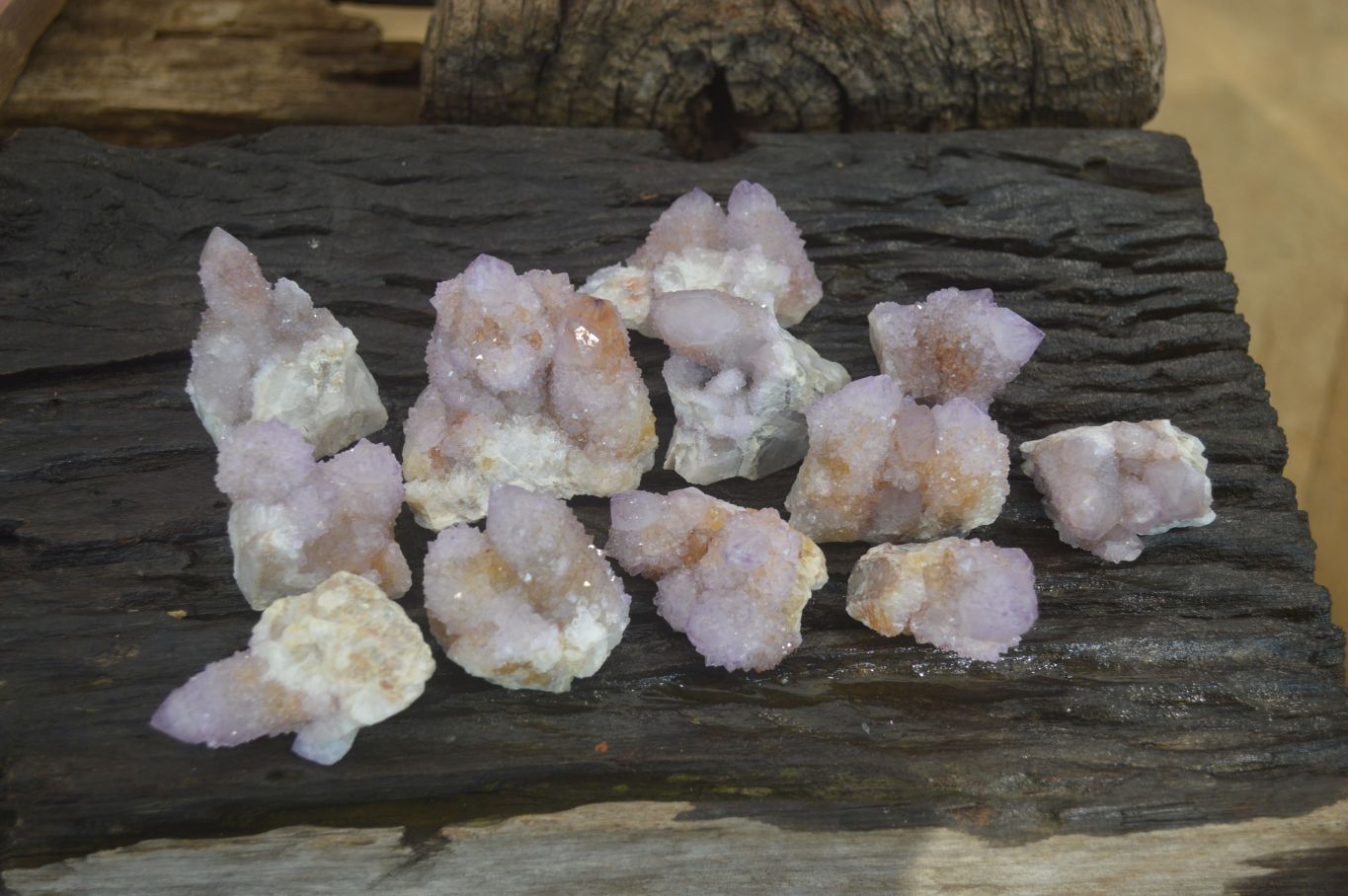 Natural Amethyst and Ametrine Spirit Quartz Clusters x 12 From Boekenhouthoek, South Africa - Toprock Gemstones and Minerals 