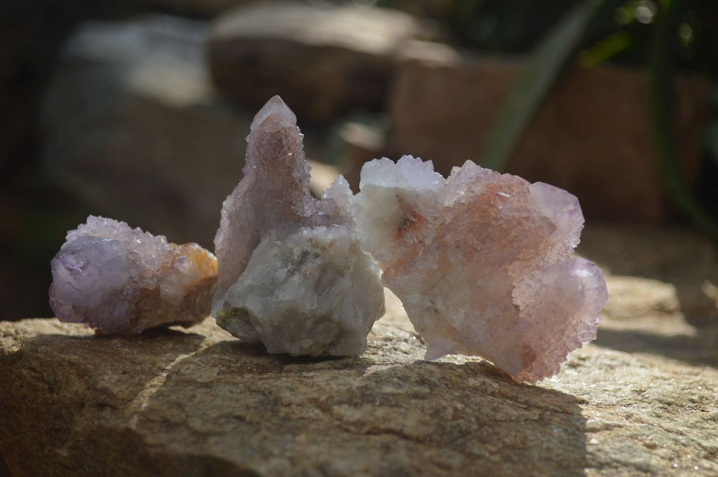 Natural Amethyst and Ametrine Spirit Quartz Clusters x 12 From Boekenhouthoek, South Africa - Toprock Gemstones and Minerals 