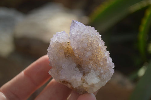 Natural Amethyst and Ametrine Spirit Quartz Clusters x 12 From Boekenhouthoek, South Africa - Toprock Gemstones and Minerals 
