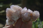 Natural Amethyst and Ametrine Spirit Quartz Clusters x 12 From Boekenhouthoek, South Africa - Toprock Gemstones and Minerals 