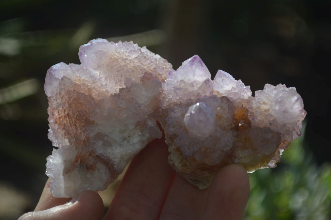 Natural Amethyst and Ametrine Spirit Quartz Clusters x 12 From Boekenhouthoek, South Africa - Toprock Gemstones and Minerals 