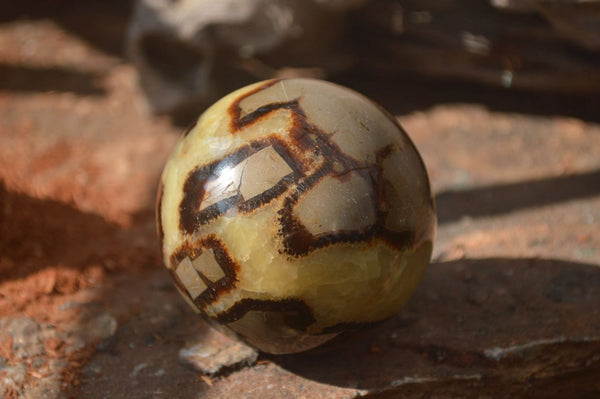 Polished Septerye Spheres x 4 From Mahajanga, Madagascar - Toprock Gemstones and Minerals 