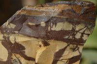 Natural Nguni Jasper Cobbed Specimens x 4 From Prieska, South Africa - Toprock Gemstones and Minerals 