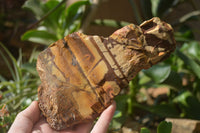Natural Nguni Jasper Cobbed Specimens x 4 From Prieska, South Africa - Toprock Gemstones and Minerals 