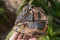 Natural Nguni Jasper Cobbed Specimens x 4 From Prieska, South Africa - Toprock Gemstones and Minerals 