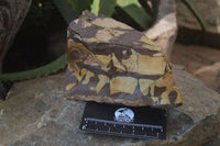 Natural Nguni Jasper Cobbed Specimens x 4 From Prieska, South Africa - Toprock Gemstones and Minerals 