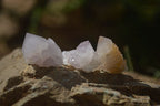 Natural White and Amethyst Spirit Quartz Single Crystals x 70 From Boekenhouthoek, South Africa - Toprock Gemstones and Minerals 