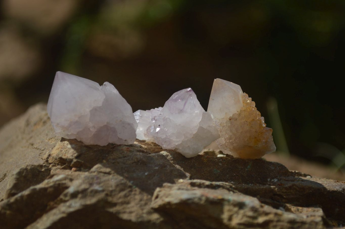 Natural White and Amethyst Spirit Quartz Single Crystals x 70 From Boekenhouthoek, South Africa - Toprock Gemstones and Minerals 