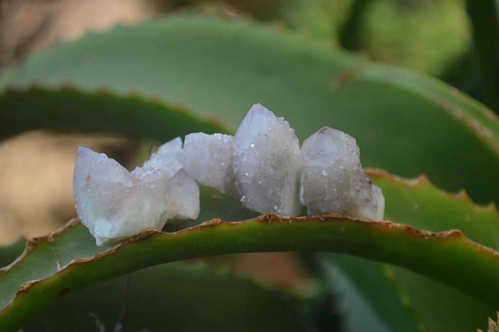 Natural White and Amethyst Spirit Quartz Single Crystals x 70 From Boekenhouthoek, South Africa - Toprock Gemstones and Minerals 