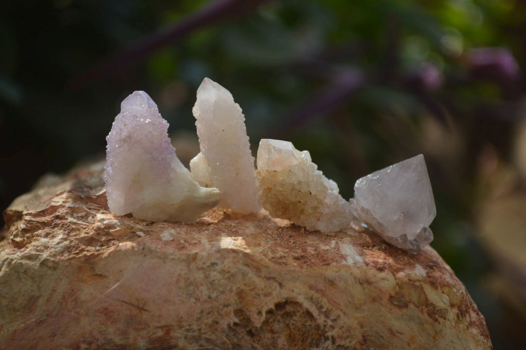 Natural White and Amethyst Spirit Quartz Single Crystals x 70 From Boekenhouthoek, South Africa - Toprock Gemstones and Minerals 