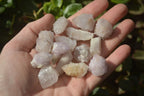 Natural White and Amethyst Spirit Quartz Single Crystals x 70 From Boekenhouthoek, South Africa - Toprock Gemstones and Minerals 
