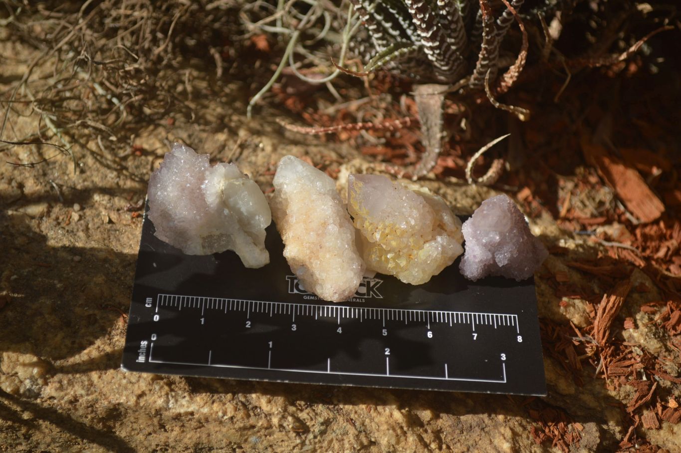Natural White and Amethyst Spirit Quartz Single Crystals x 70 From Boekenhouthoek, South Africa - Toprock Gemstones and Minerals 