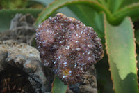 Natural Amethystos Amethyst Plates x 5 From Kwaggafontein, South Africa - Toprock Gemstones and Minerals 