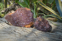 Natural Amethystos Amethyst Plates x 5 From Kwaggafontein, South Africa - Toprock Gemstones and Minerals 