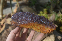 Natural Amethystos Amethyst Plates x 5 From Kwaggafontein, South Africa - Toprock Gemstones and Minerals 