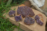 Natural Amethystos Amethyst Plates x 5 From Kwaggafontein, South Africa - Toprock Gemstones and Minerals 