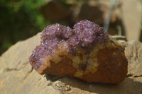 Natural Amethystos Amethyst Plates x 5 From Kwaggafontein, South Africa - Toprock Gemstones and Minerals 