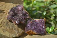 Natural Amethystos Amethyst Plates x 5 From Kwaggafontein, South Africa - Toprock Gemstones and Minerals 