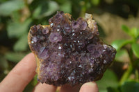 Natural Amethystos Amethyst Plates x 5 From Kwaggafontein, South Africa - Toprock Gemstones and Minerals 