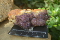 Natural Amethystos Amethyst Plates x 5 From Kwaggafontein, South Africa - Toprock Gemstones and Minerals 
