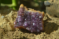 Natural Amethystos Amethyst Plates x 5 From Kwaggafontein, South Africa - Toprock Gemstones and Minerals 