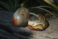 Polished On One Side Polychrome Jasper x 6 From Mahajanga, Madagascar - Toprock Gemstones and Minerals 