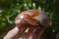 Polished On One Side Polychrome Jasper x 6 From Mahajanga, Madagascar - Toprock Gemstones and Minerals 