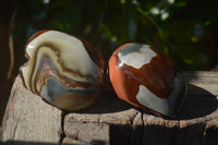 Polished On One Side Polychrome Jasper x 6 From Mahajanga, Madagascar - Toprock Gemstones and Minerals 