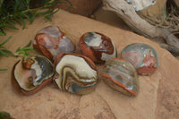 Polished On One Side Polychrome Jasper x 6 From Mahajanga, Madagascar - Toprock Gemstones and Minerals 