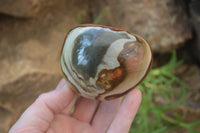 Polished On One Side Polychrome Jasper x 6 From Mahajanga, Madagascar - Toprock Gemstones and Minerals 