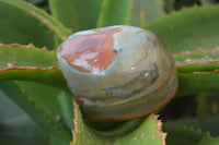 Polished On One Side Polychrome Jasper x 6 From Mahajanga, Madagascar - Toprock Gemstones and Minerals 