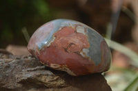 Polished On One Side Polychrome Jasper x 6 From Mahajanga, Madagascar - Toprock Gemstones and Minerals 