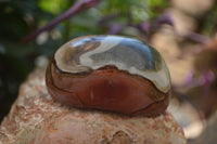 Polished On One Side Polychrome Jasper x 6 From Mahajanga, Madagascar - Toprock Gemstones and Minerals 