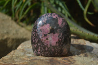 Polished Rhodonite Standing Free Forms x 3 From Madagascar