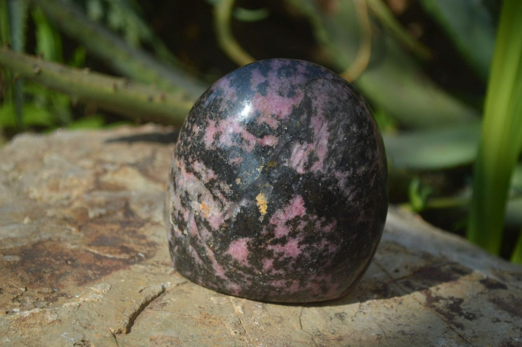 Polished Rhodonite Standing Free Forms x 3 From Madagascar - Toprock Gemstones and Minerals 