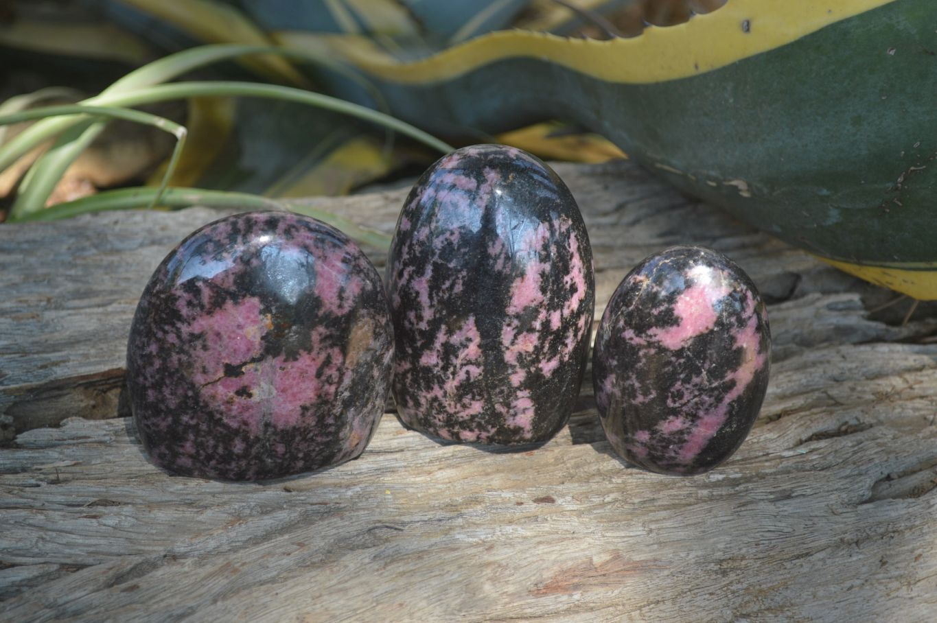 Polished Rhodonite Standing Free Forms x 3 From Madagascar - Toprock Gemstones and Minerals 
