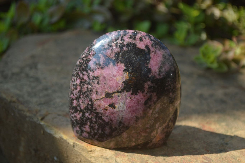 Polished Rhodonite Standing Free Forms x 3 From Madagascar - Toprock Gemstones and Minerals 