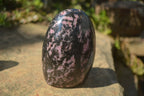 Polished Rhodonite Standing Free Forms x 3 From Madagascar - Toprock Gemstones and Minerals 