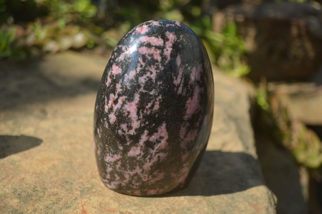 Polished Rhodonite Standing Free Forms x 3 From Madagascar - Toprock Gemstones and Minerals 