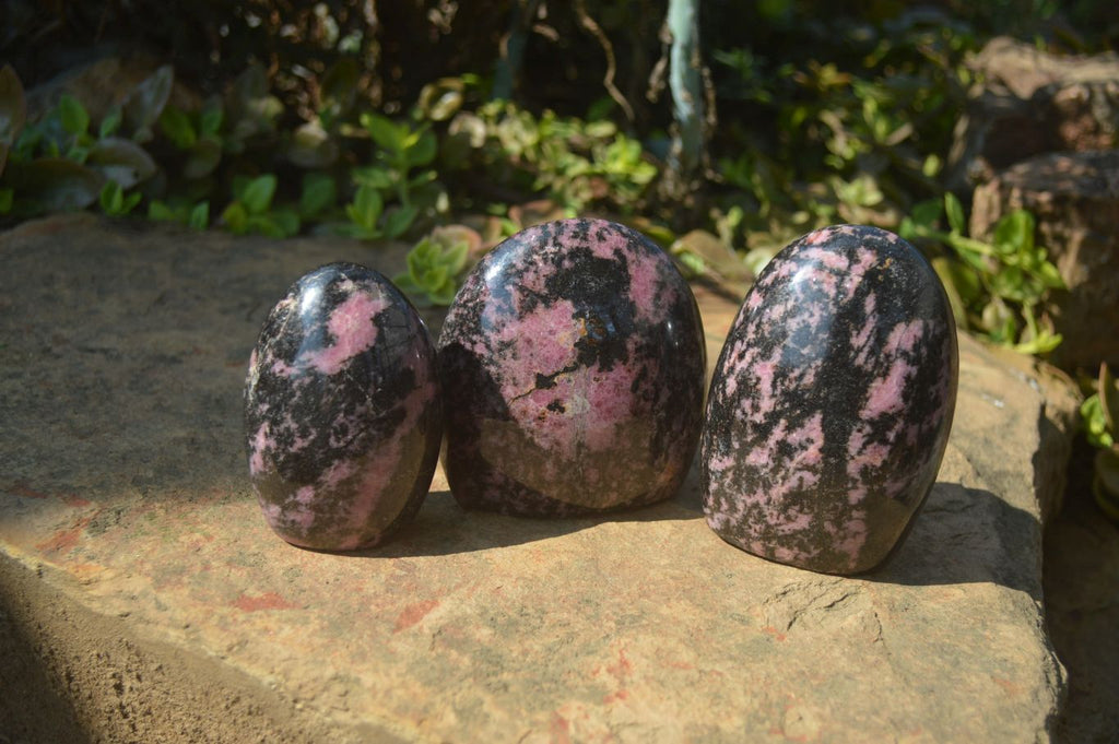 Polished Rhodonite Standing Free Forms x 3 From Madagascar - Toprock Gemstones and Minerals 