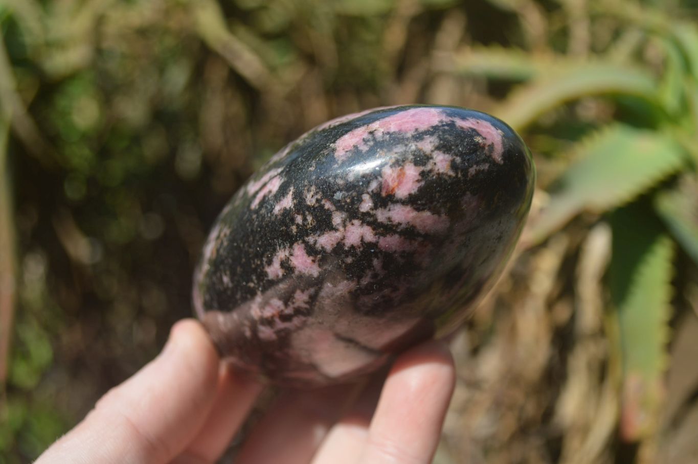Polished Rhodonite Standing Free Forms x 3 From Madagascar - Toprock Gemstones and Minerals 