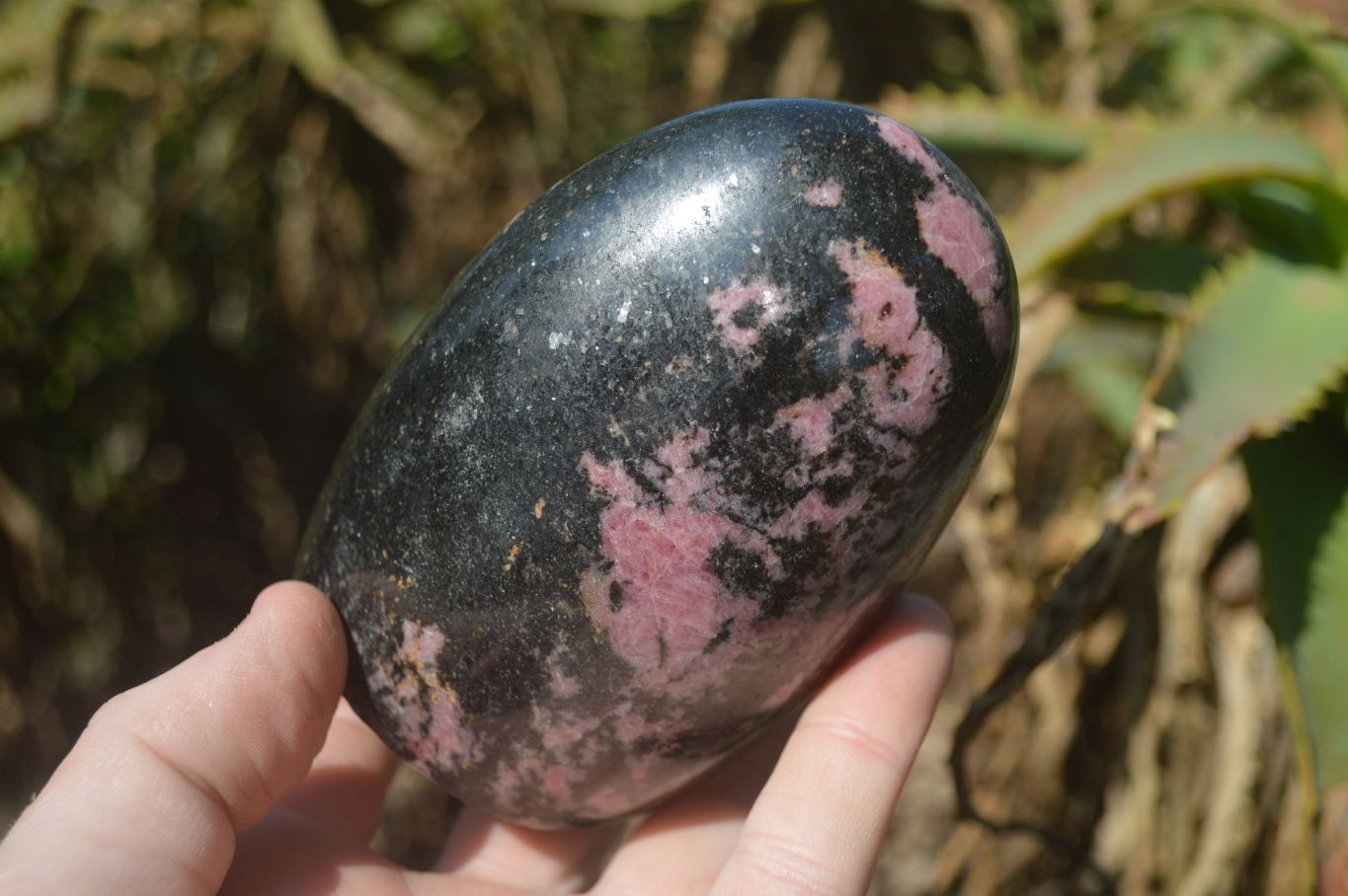 Polished Rhodonite Standing Free Forms x 3 From Madagascar - Toprock Gemstones and Minerals 