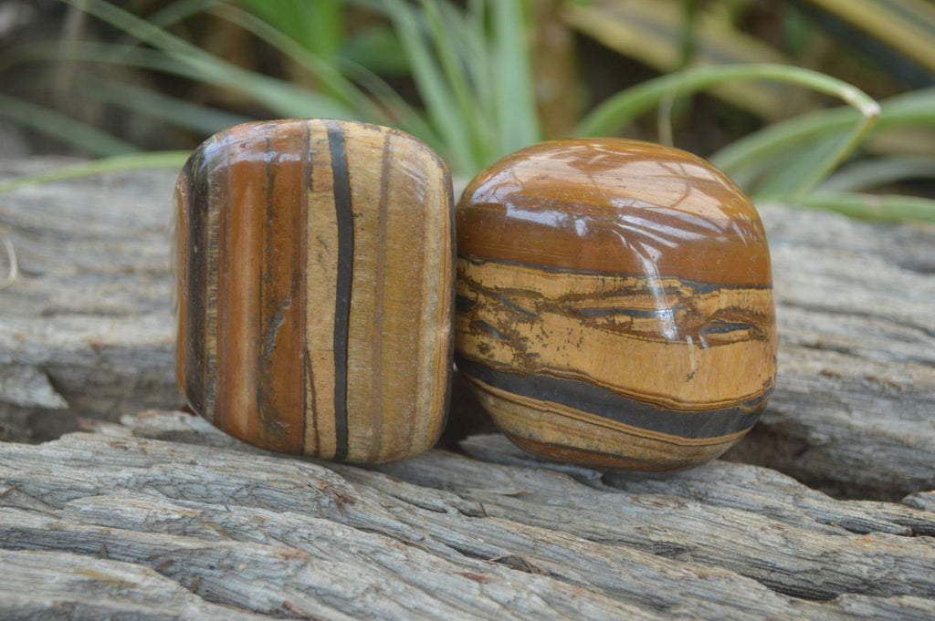 Polished Tiger's Eye Free Forms x 4 From Prieska, South Africa - Toprock Gemstones and Minerals 