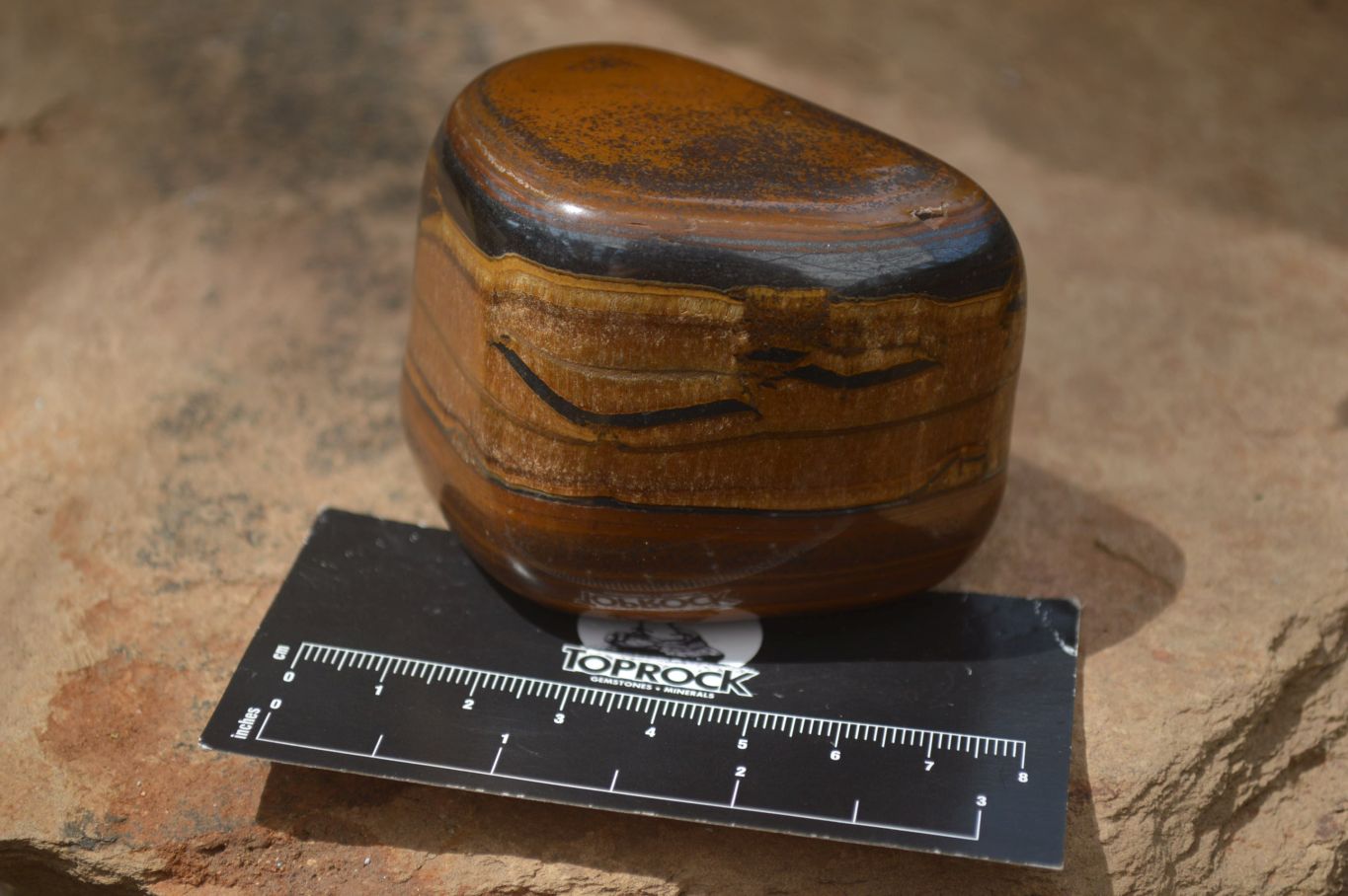 Polished Tiger's Eye Free Forms x 4 From Prieska, South Africa - Toprock Gemstones and Minerals 