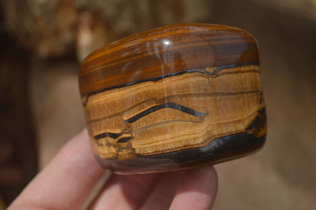 Polished Tiger's Eye Free Forms x 4 From Prieska, South Africa - Toprock Gemstones and Minerals 