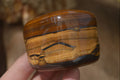 Polished Tiger's Eye Free Forms x 4 From Prieska, South Africa - Toprock Gemstones and Minerals 